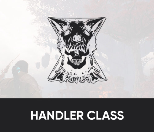 Handler Archetype Leveling Boost